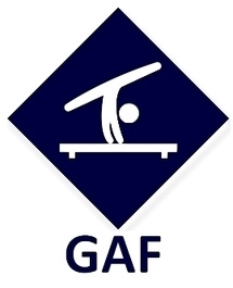 GAF - Organigramme Définitif - Equipes Performance / Montigny-Le-Bretonneux - 25 et 26 janvier 2025