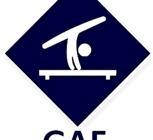 GAF - Organigramme Définitif - Equipes Performance / Montigny-Le-Bretonneux - 25 et 26 janvier 2025